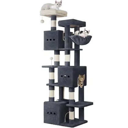 76 in Cat Tree
