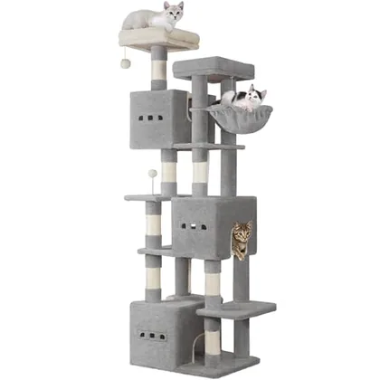 76 in Cat Tree
